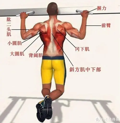 米乐：天气冷室内健身热