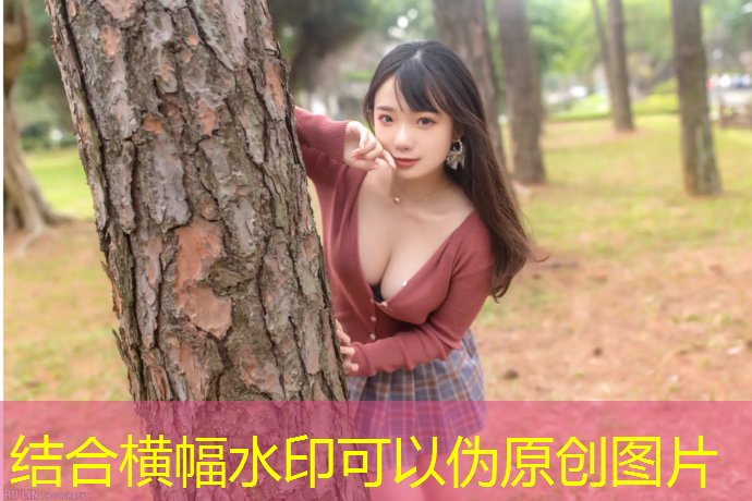 国家队训练专用羽毛球拍