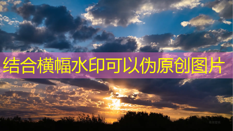 塑胶跑道王先生