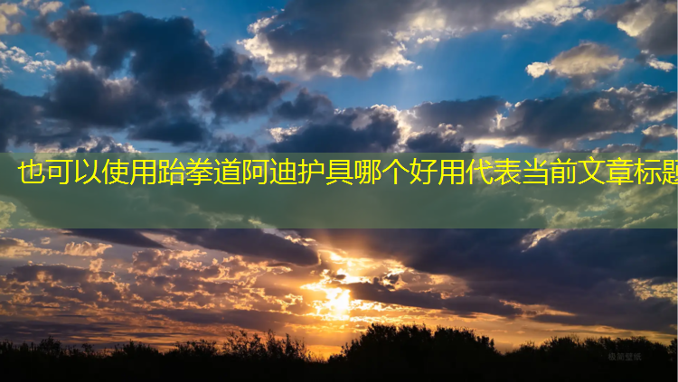 跆拳道阿迪护具哪个好用