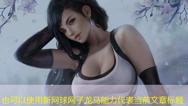 新网球网子龙马能力