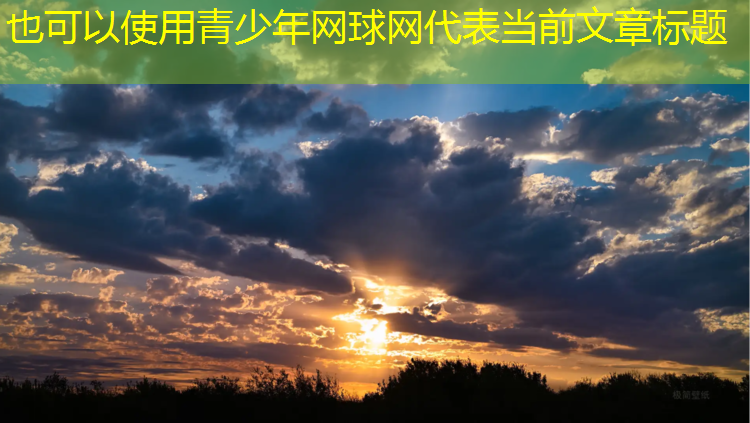 青少年网球网
