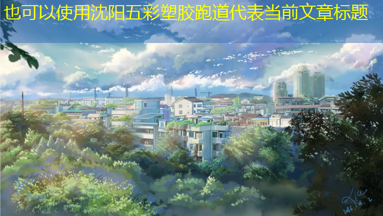 沈阳五彩塑胶跑道