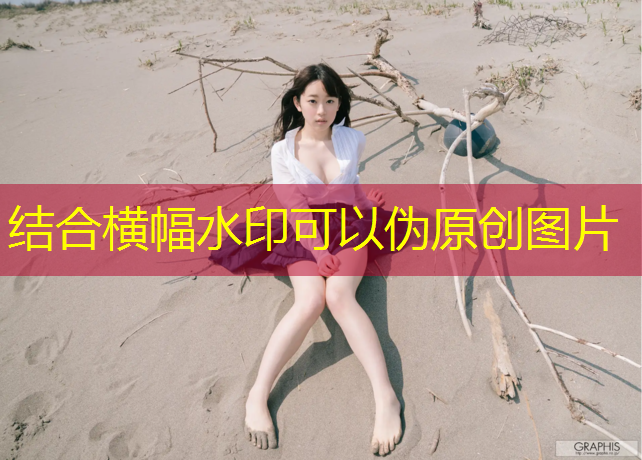 海棠溪全塑型塑胶跑道
