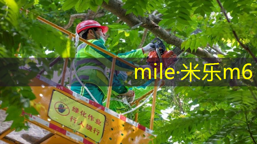 米乐m6官网登录入口：网球拍咋用的好看点