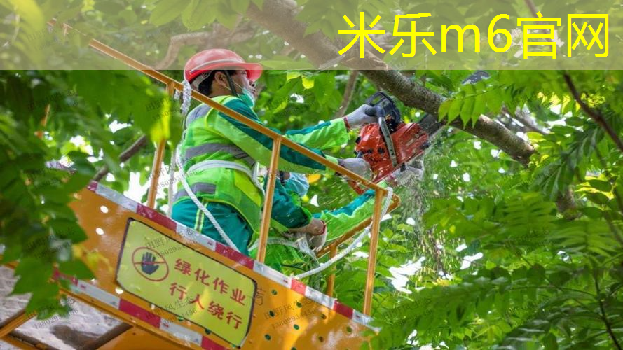 米乐m6官网：适合初学的网球拍尺寸大小
