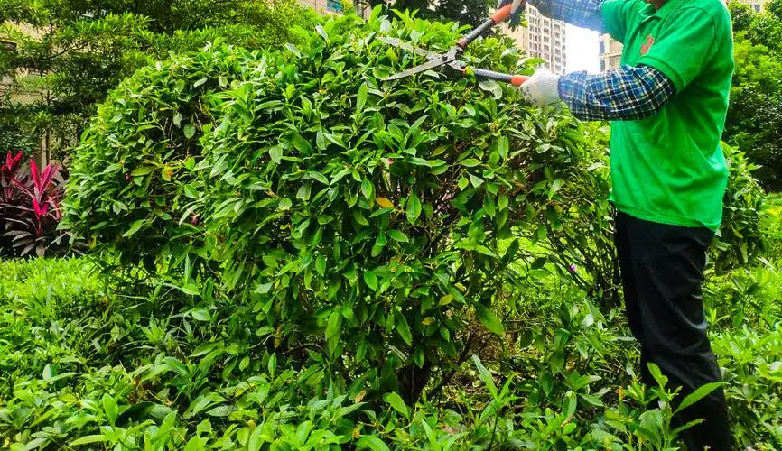 mile米乐m6官网：网球拍成人多少克