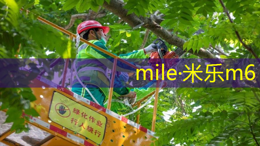 网球拍穿线需要什么材料