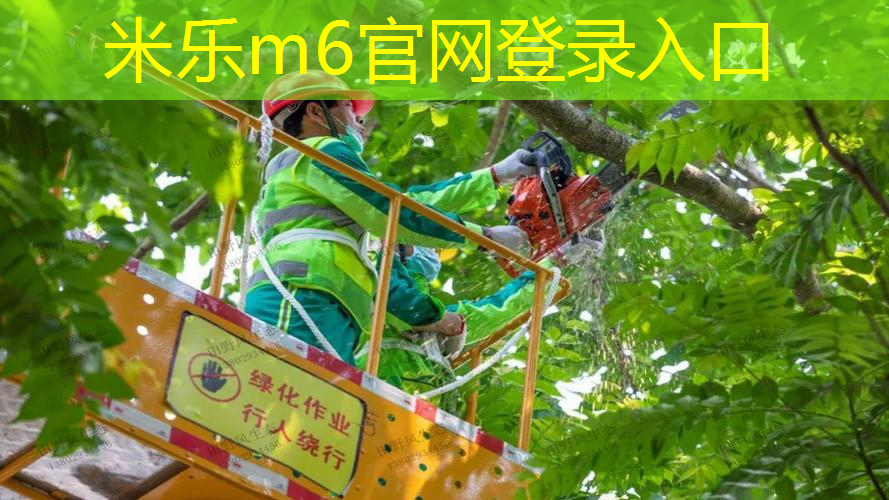 网球拍哪款性价比最高的