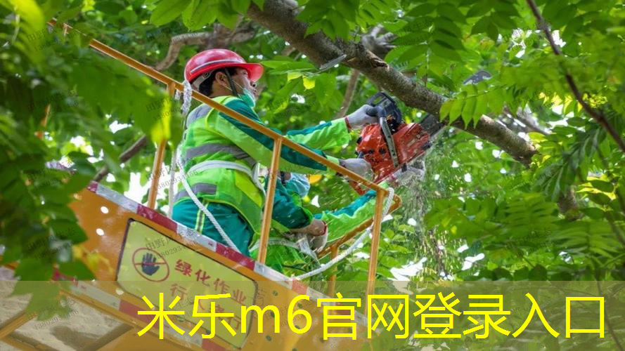 米乐m6官网：网球拍包含什么东西和材料