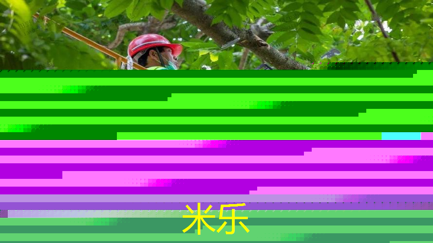 mile·米乐m6：最好的网球拍多少杆才能打