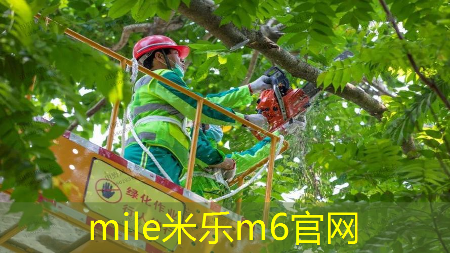mile·米乐m6：网球拍单人打怎么弄的啊