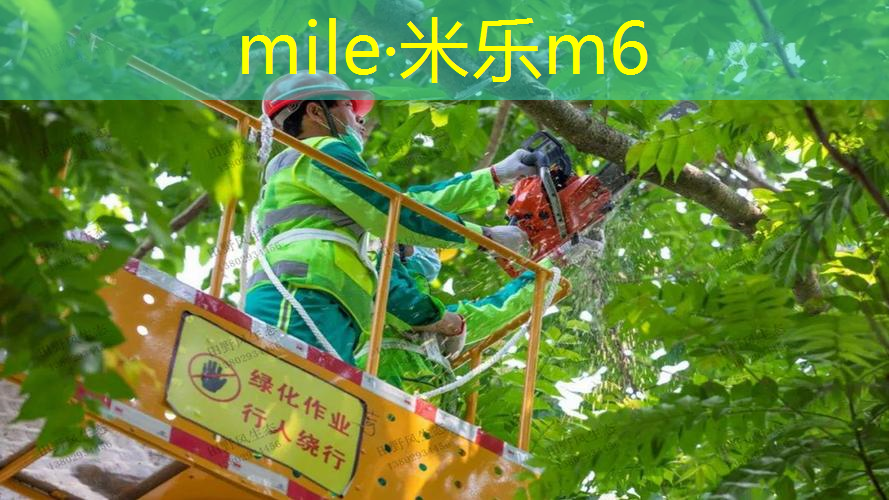 网球拍单人回弹训练器教程