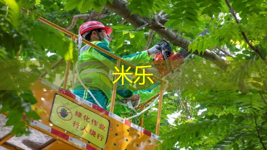米乐m6官网登录入口：网球拍软线好还是硬线