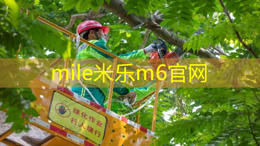 mile米乐m6官网：业余跟专业网球拍有区别吗_
