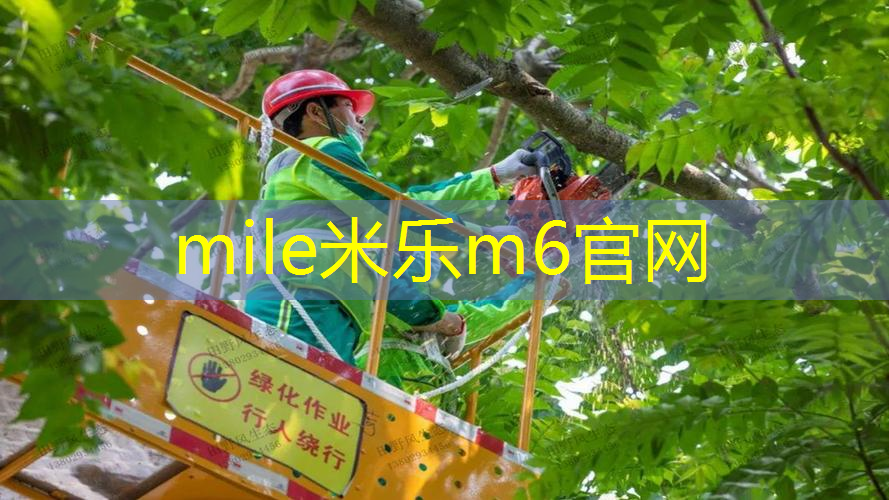 米乐m6官网登录入口：成都维修网球拍成华区