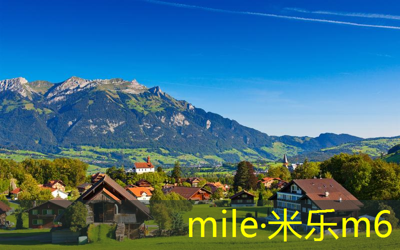 mile·米乐m6：标准网球拍尺寸是多少厘米
