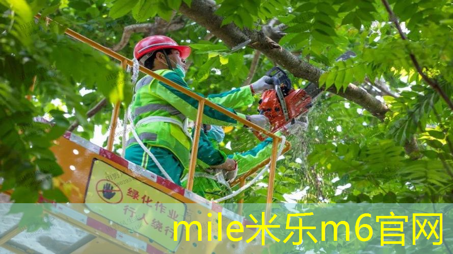 mile·米乐m6：网球拍手柄底胶怎么换