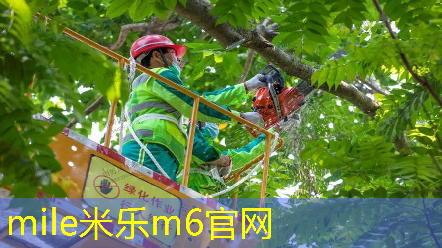 mile米乐m6官网：网球拍手胶怎么样