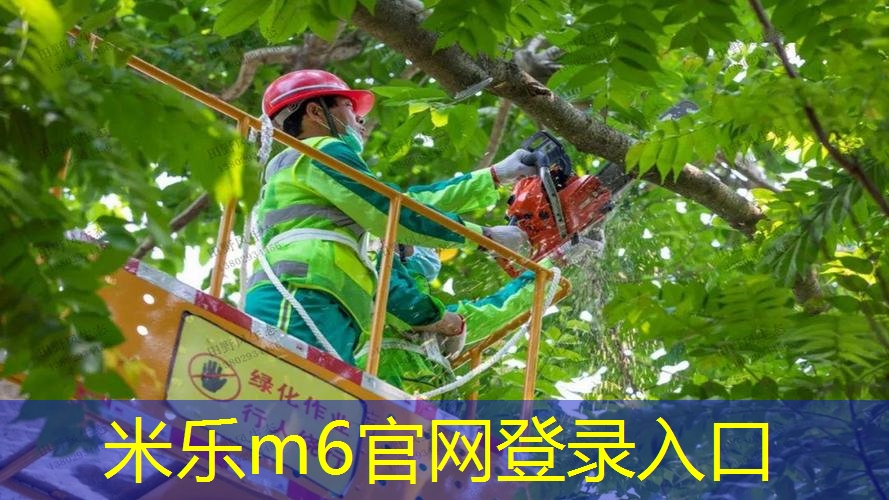 如何长时间存放乒乓球台