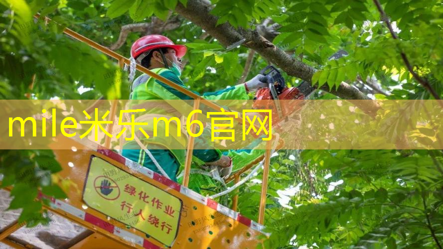 米乐m6官网：室内健身馆能否使用健身卡
