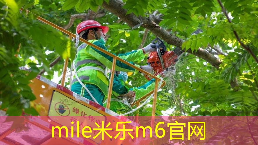 米乐：塑胶跑道材料研磨工艺流程的最佳实践：实现卓越性能和可持续发展