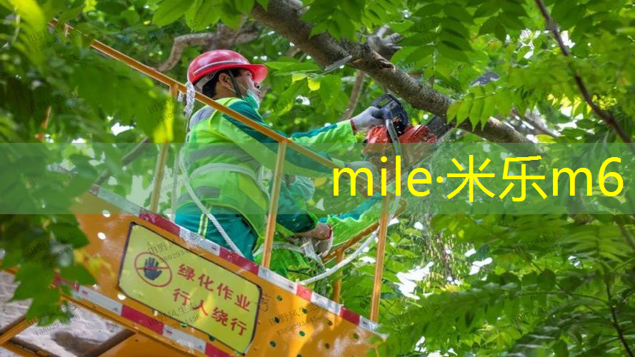 适合初学的网球拍尺寸大小