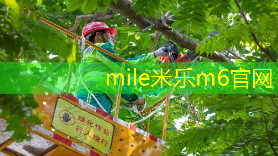 网球拍穿线需要什么材料