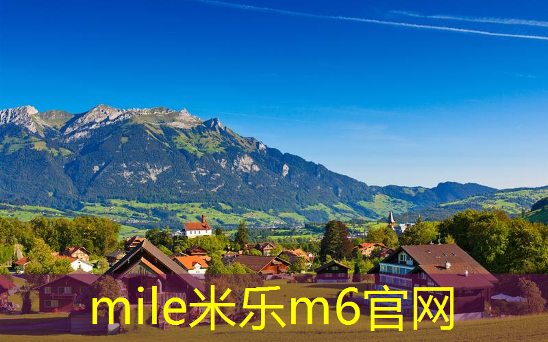 网球拍手机壳怎么安装图解