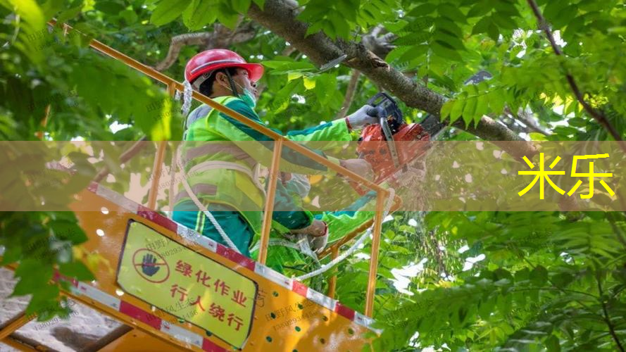 网球拍哪款性价比最高的