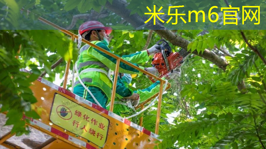 网球拍包含什么东西和材料