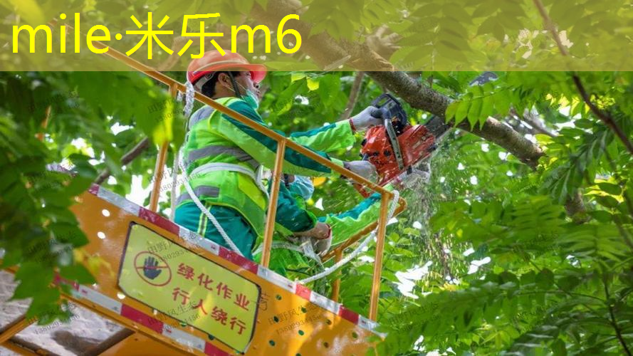 网球拍防滑手胶如何使用