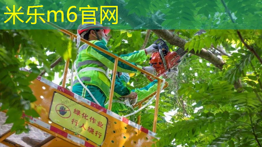 最好的网球拍多少杆才能打