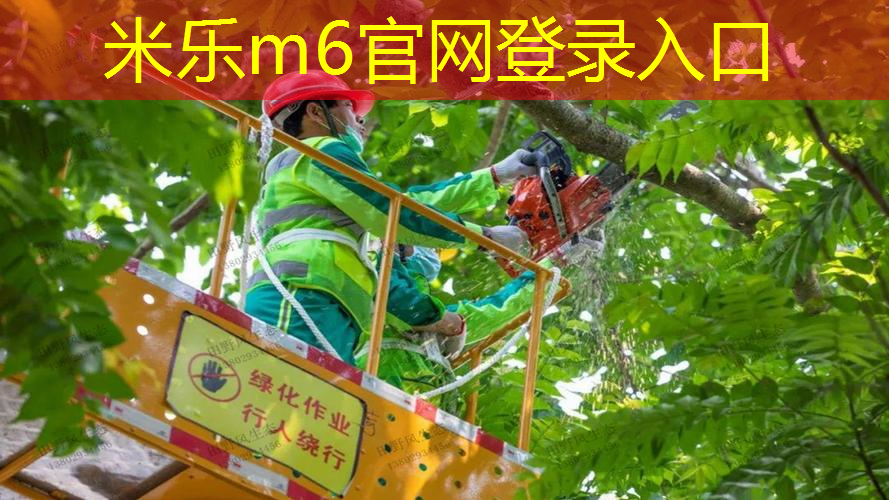 网球拍单人打怎么弄的啊
