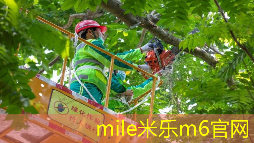 网球拍单人回弹训练器教程