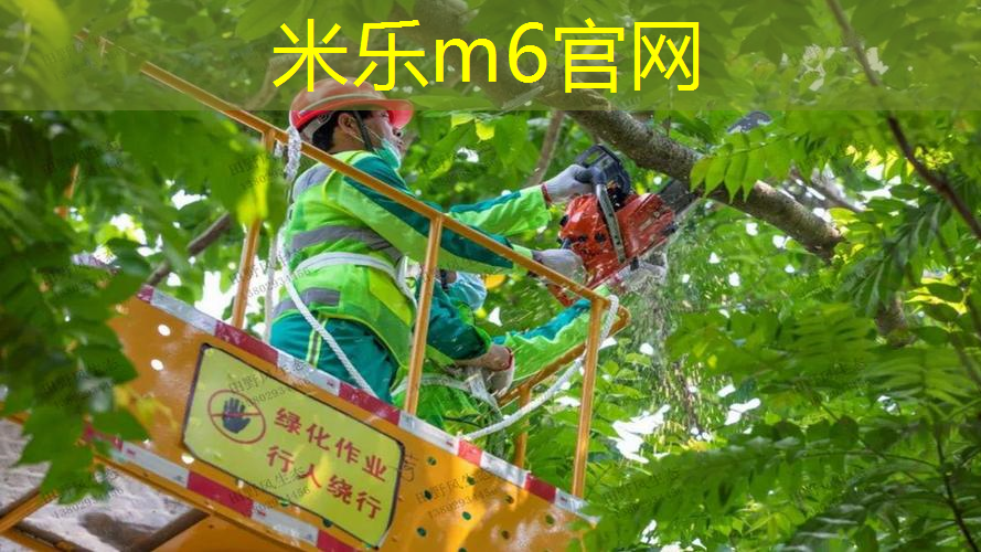 网球拍软线好还是硬线