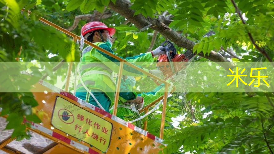 用网球拍什么部位击球最好