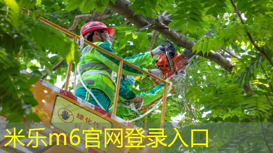 业余跟专业网球拍有区别吗_