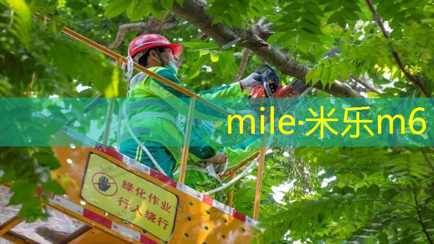 成都维修网球拍成华区