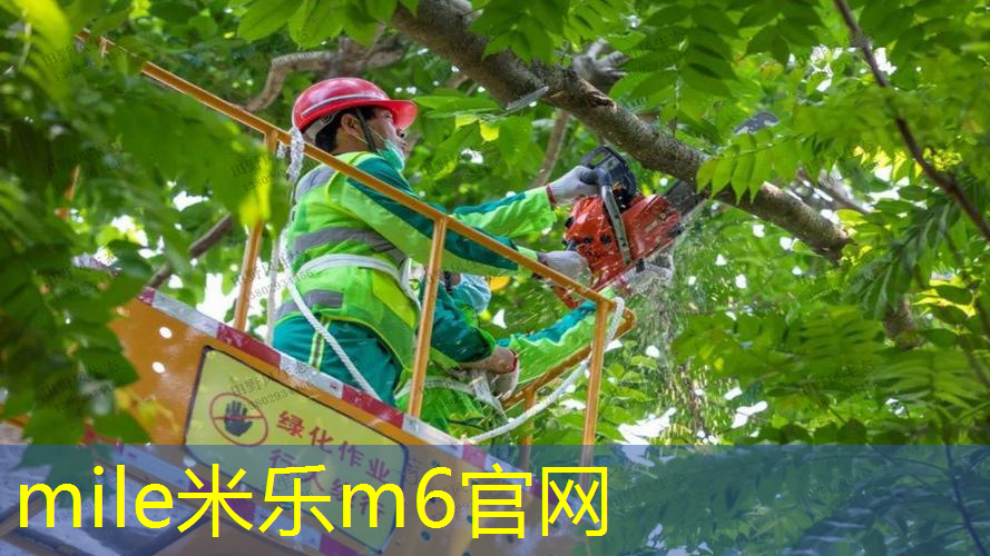 网球拍反拍怎么打出来的