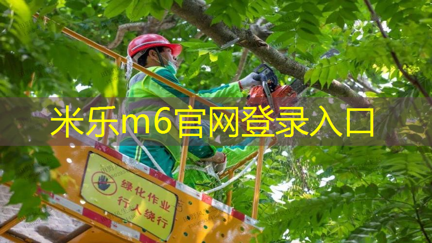 单个网球拍套装尺寸表图
