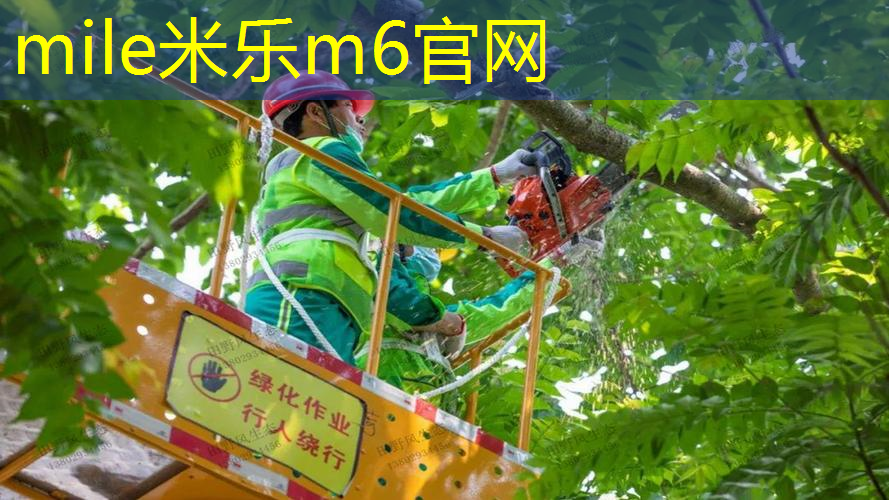 身高158用青少年网球拍