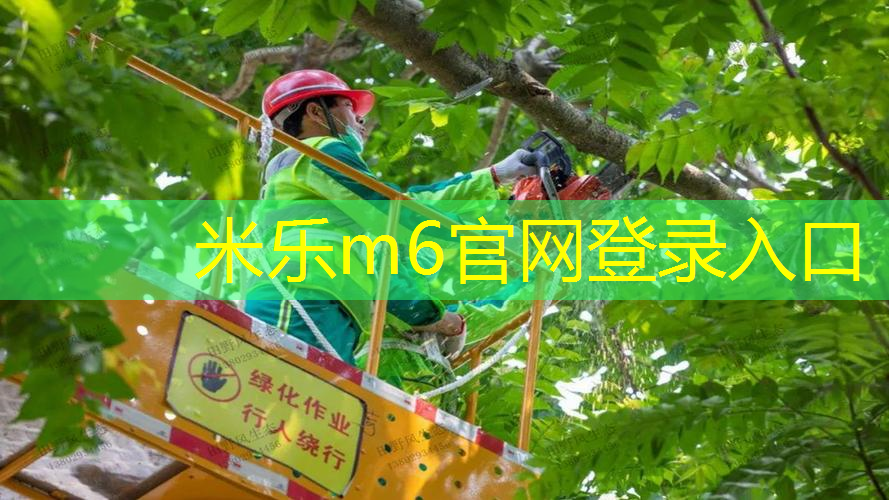 网球拍手胶怎么样