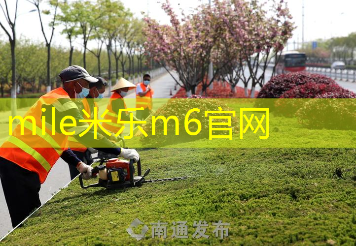 网球拍切土豆薯条怎么切