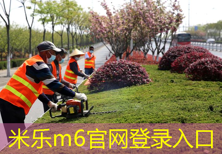 小学生适合的篮球训练器材