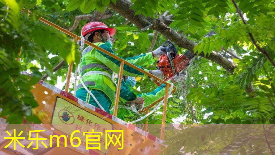 室内健身减震防滑垫哪种好