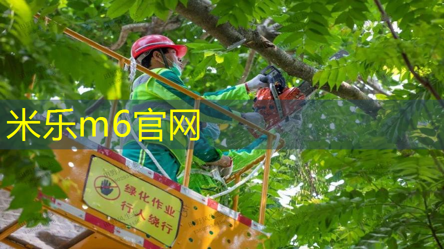 塑胶跑道材料质保期解密：如何优化运动场地使用效果？