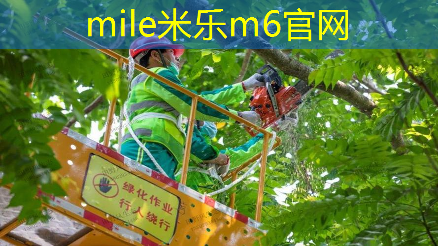 如何长时间存放乒乓球台