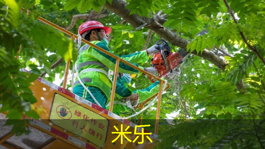 塑胶跑道材料研磨工艺流程的最佳实践：实现卓越性能和可持续发展